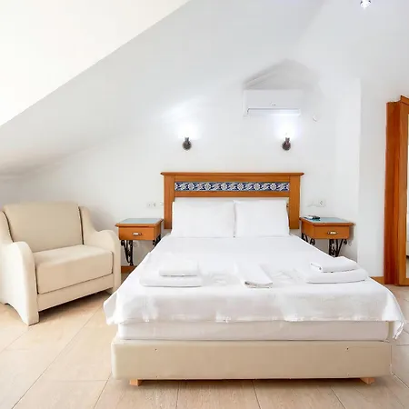 酒店 达特恰奇列克酒店 4*