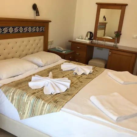 酒店 达特恰奇列克酒店 4*